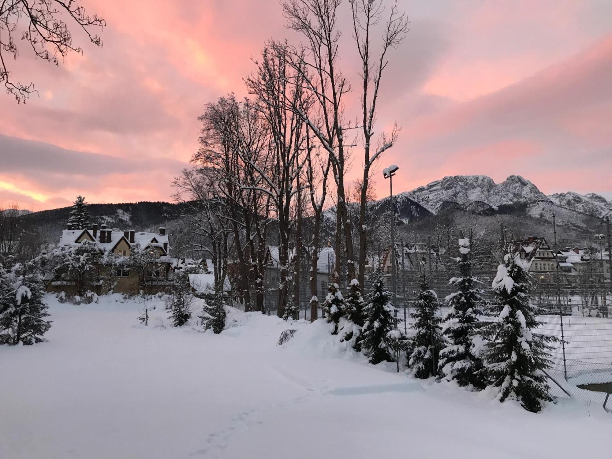 Willa Kmicic Zakopane Bagian luar foto